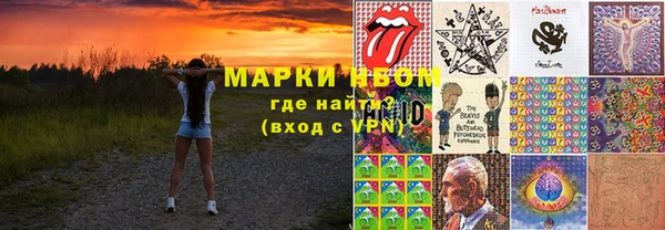 ГАЛЛЮЦИНОГЕННЫЕ ГРИБЫ Вязники