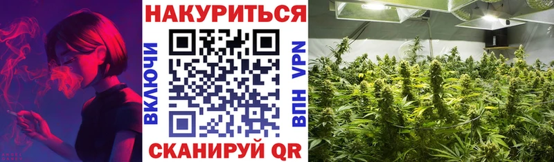 Канабис гибрид  Арск 